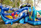 Inflatable combo Karakula shark